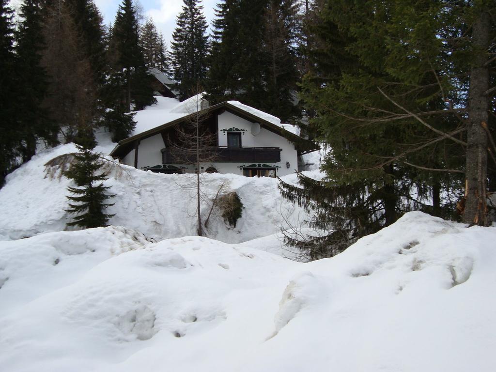 Chalet In Nassfeld Ski Area In Carinthia Sonnenalpe Nassfeld Zewnętrze zdjęcie